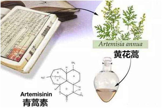 江南最新官网（中国）官方网站,登录入口：向中医药看齐，与世界共享中医药文化(图1)